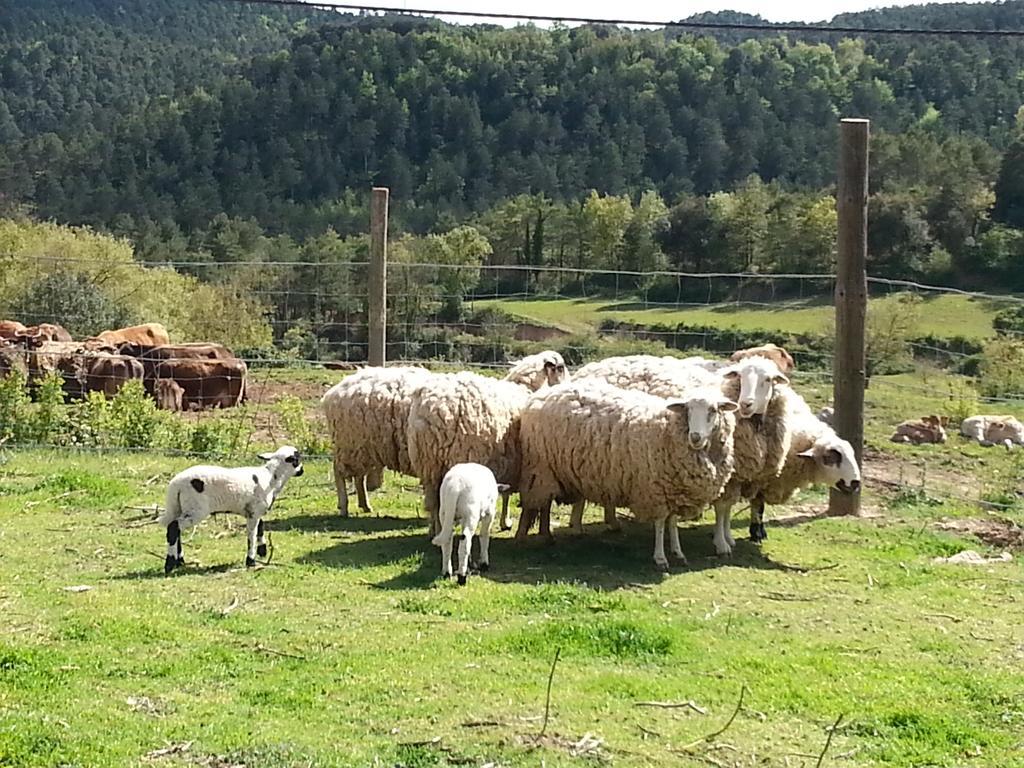 Country house El Permanyer